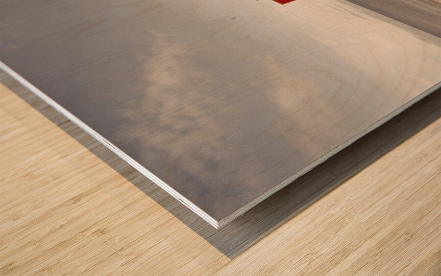 Llandudno Beach Access Sign Wood print