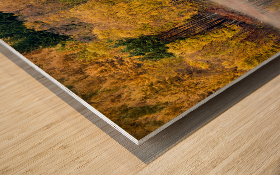 Autumn on River Tummel Impression sur bois