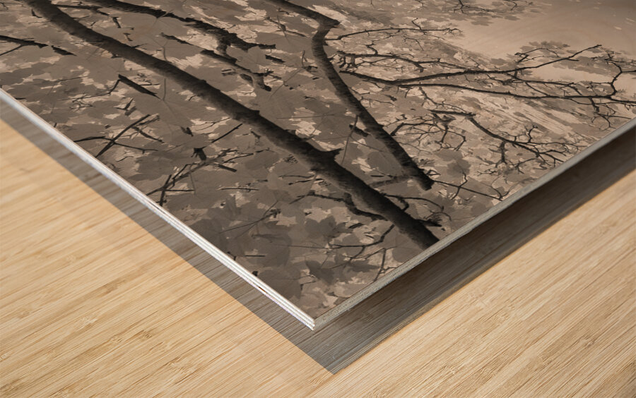 Bosherston Lakes Wood print