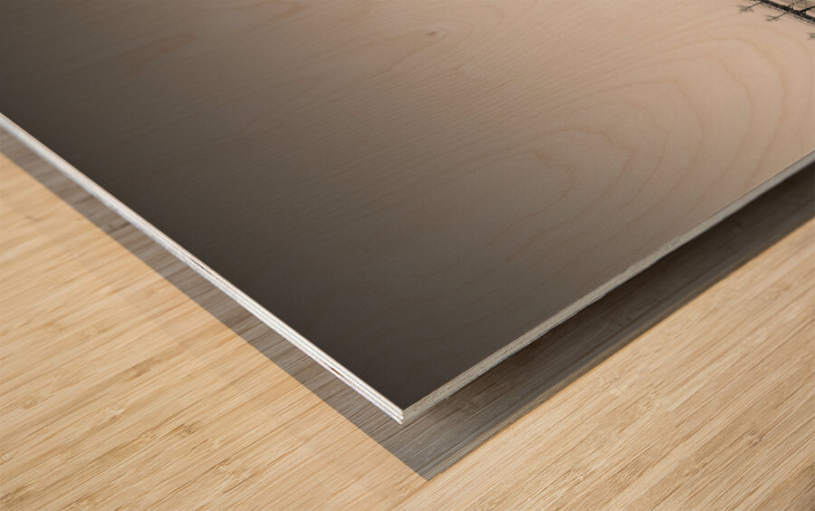 Four Trees on a Pier Wood print