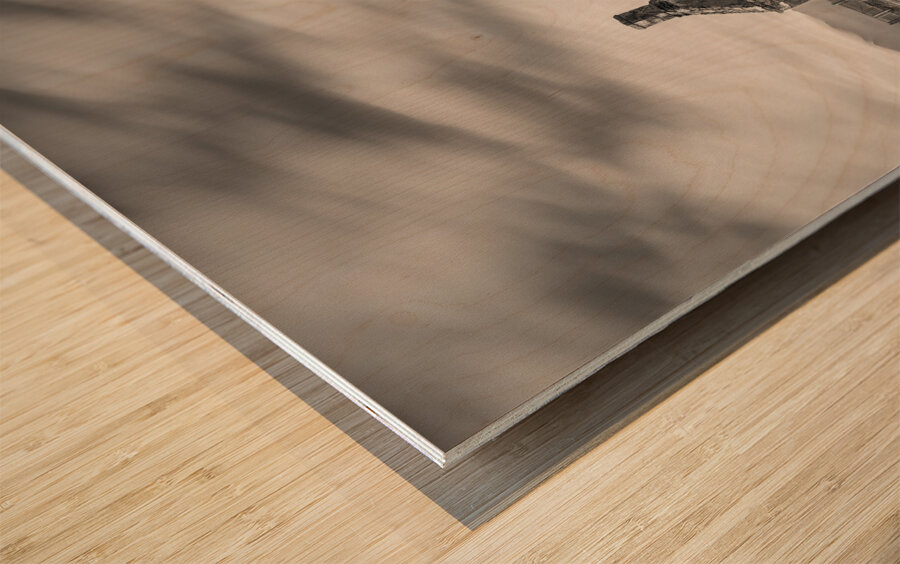 Moine House Wood print