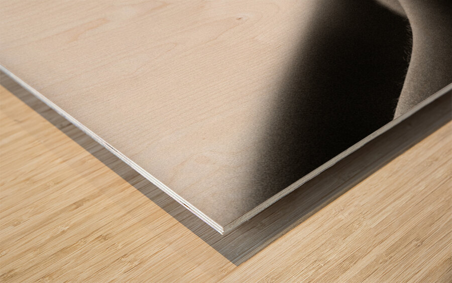 Nude Study No1 Wood print