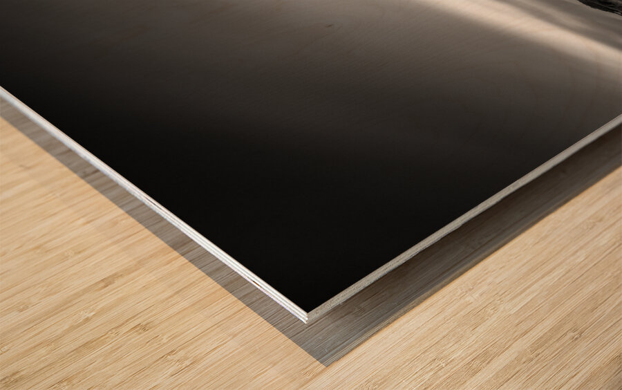 Duart Castle Wood print