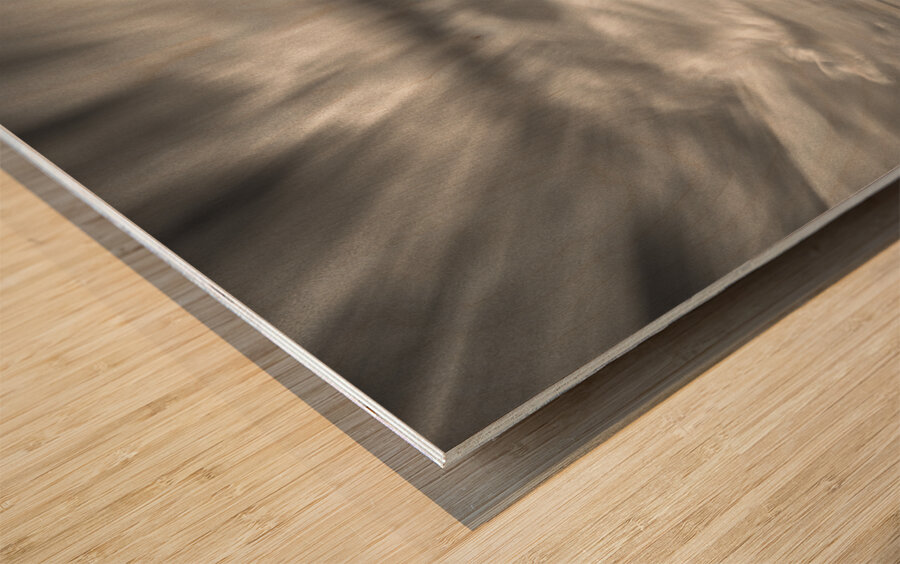 Scheveningen Pier I Wood print