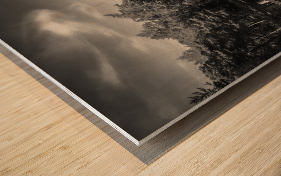 Blea Tarn Wood print