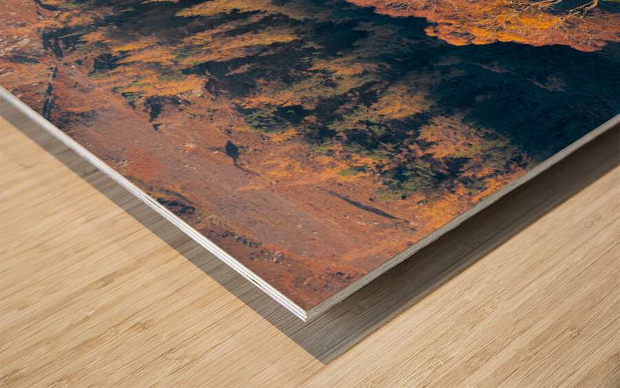 Autumn in Glenshee Wood print