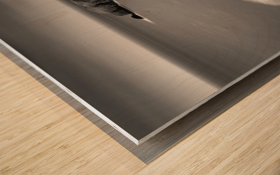 Llangrannog Coastline Impression sur bois