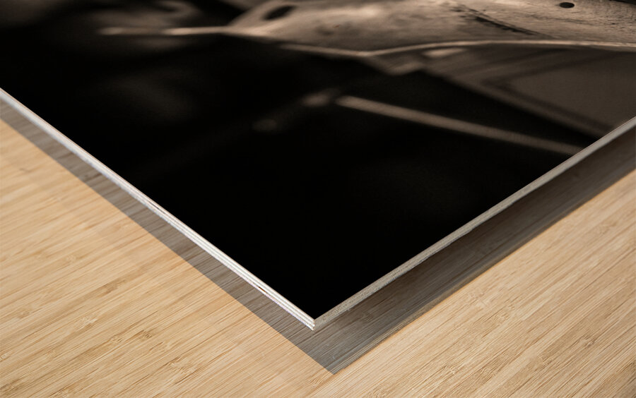 Vintage Shoe Lasts Impression sur bois