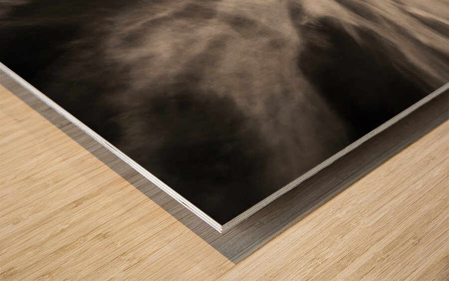 White Swan Impression sur bois