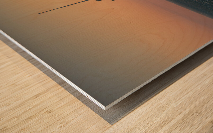 Trump Tower Chicago Sunset Wood print