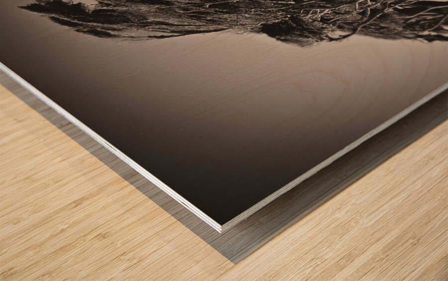 Windswept Trees Wood print