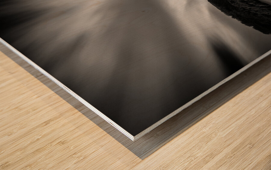 Eilean Donan Castle I Impression sur bois