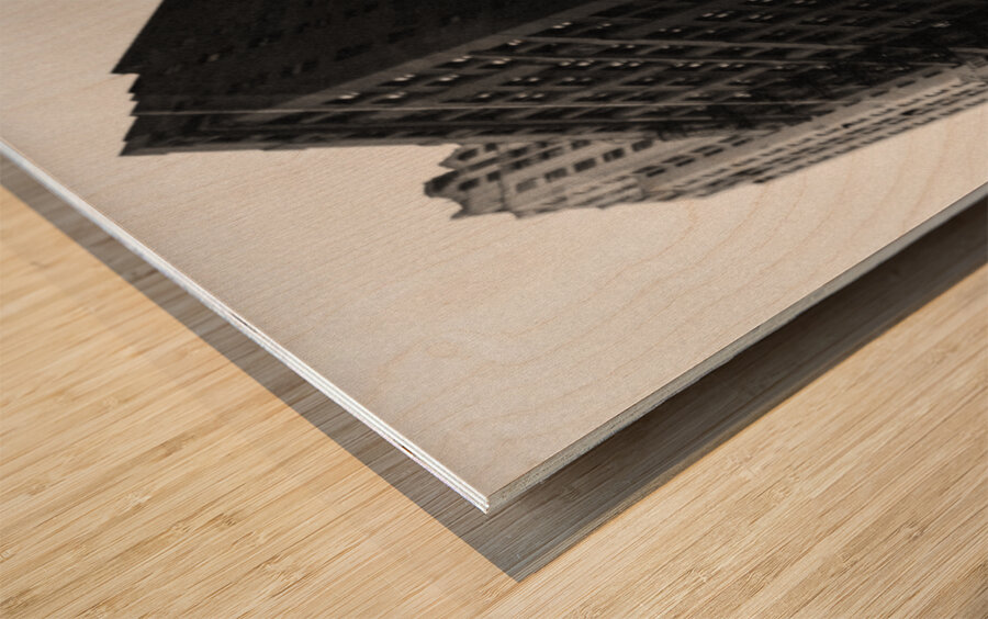 Chicago Mannequin Wood print