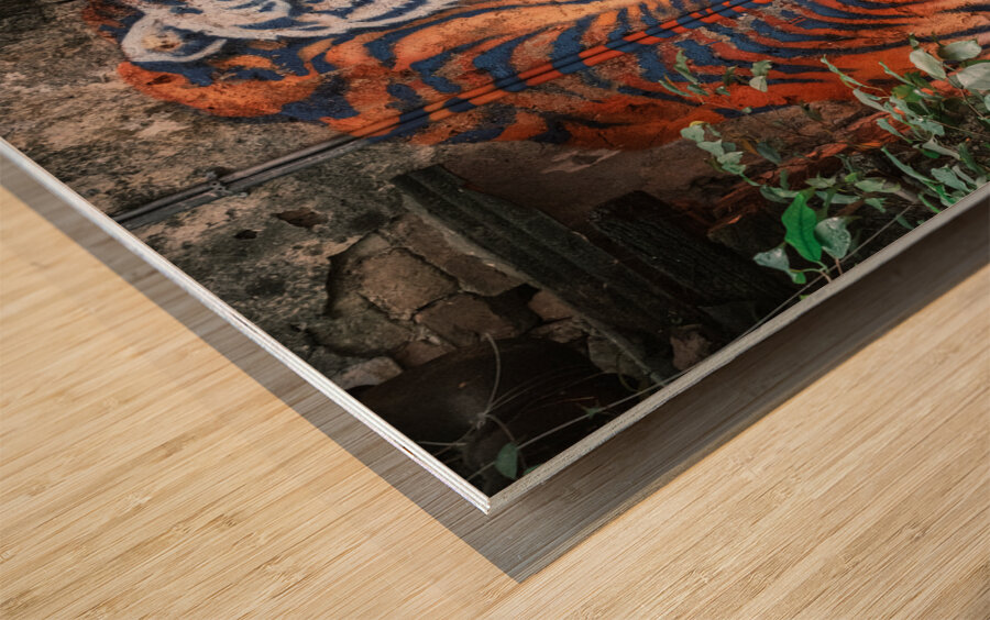 Wall Tiger Impression sur bois