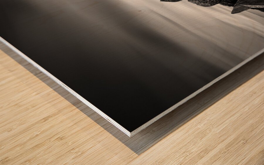 Cairnholy I Wood print