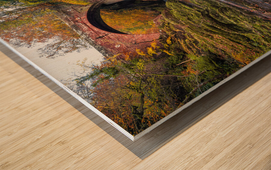 Autumn at Gannochy Bridge Wood print