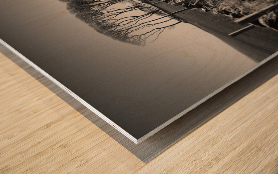 Fields End Grove Wood print