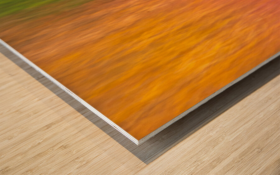 Autumn Pastels Wood print