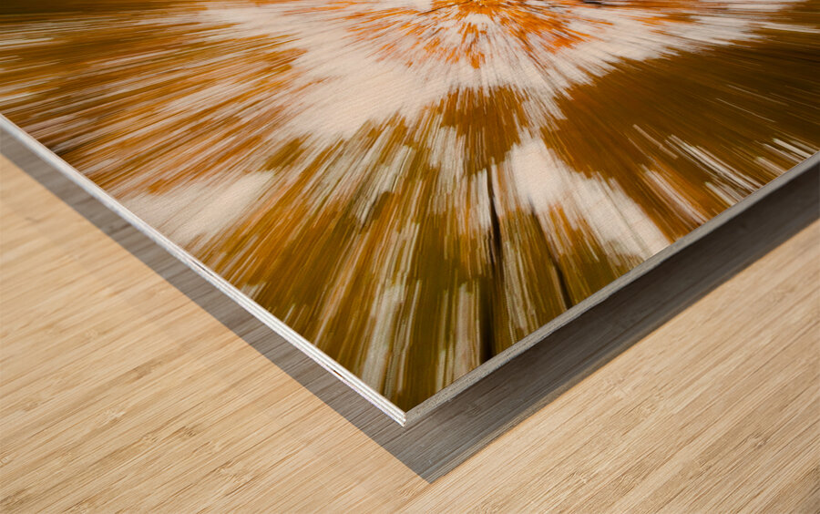 Autumn Explosion Wood print