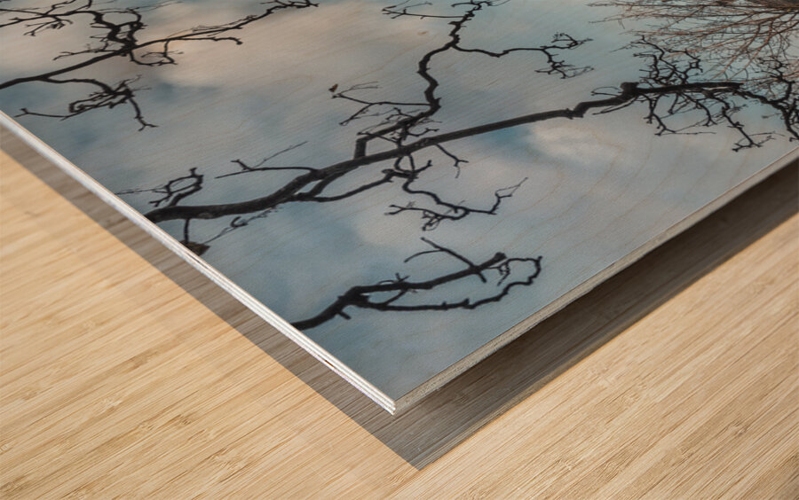 Edinburgh Castle from Princess St Gardens Wood print