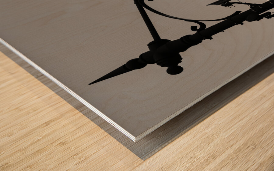 Moon Over River Point Wood print