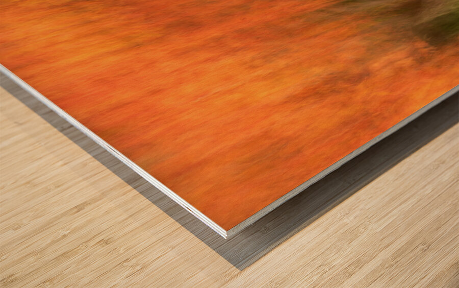 Autumn in Motion Wood print