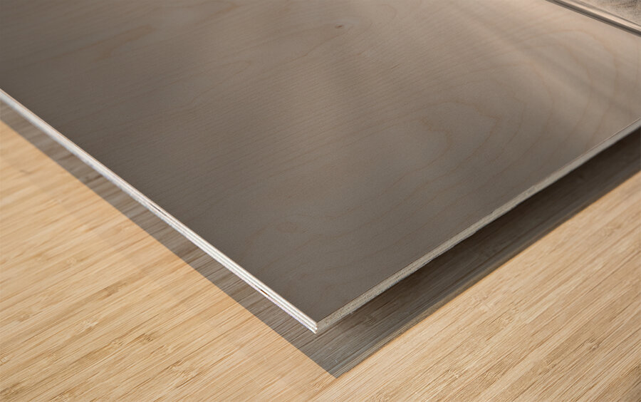 Rattray Head Lighthouse Wood print