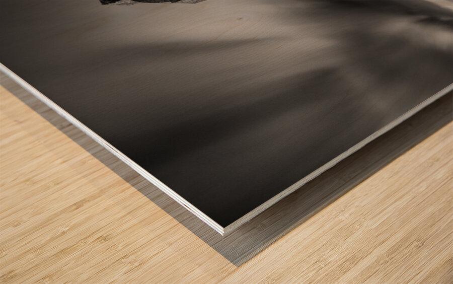 Llanddwyn Island Impression sur bois