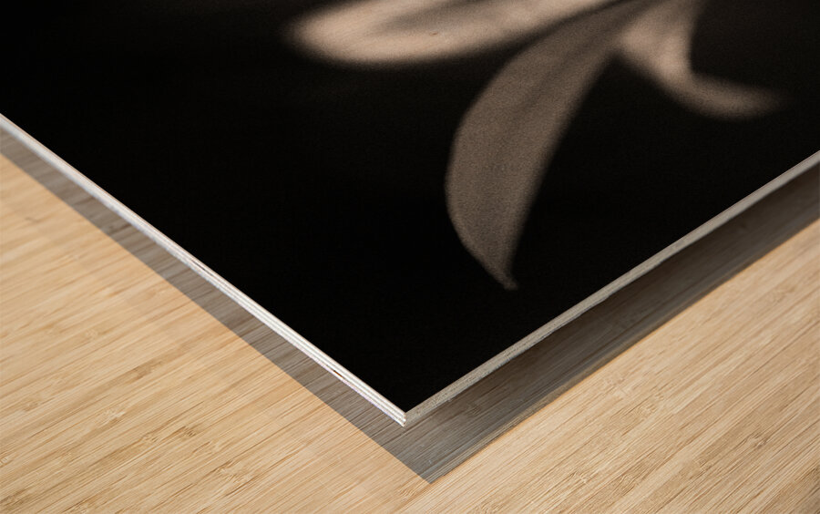 Woodland Study 6 Wood print