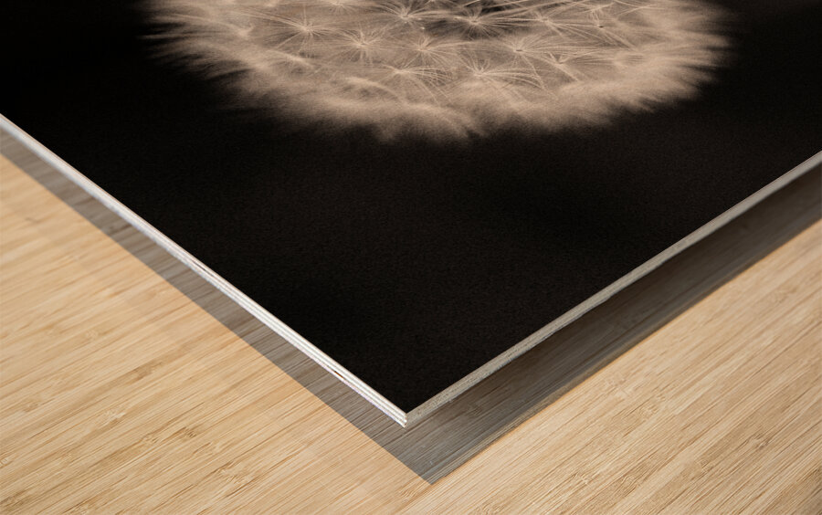 Woodland Study 5 Wood print