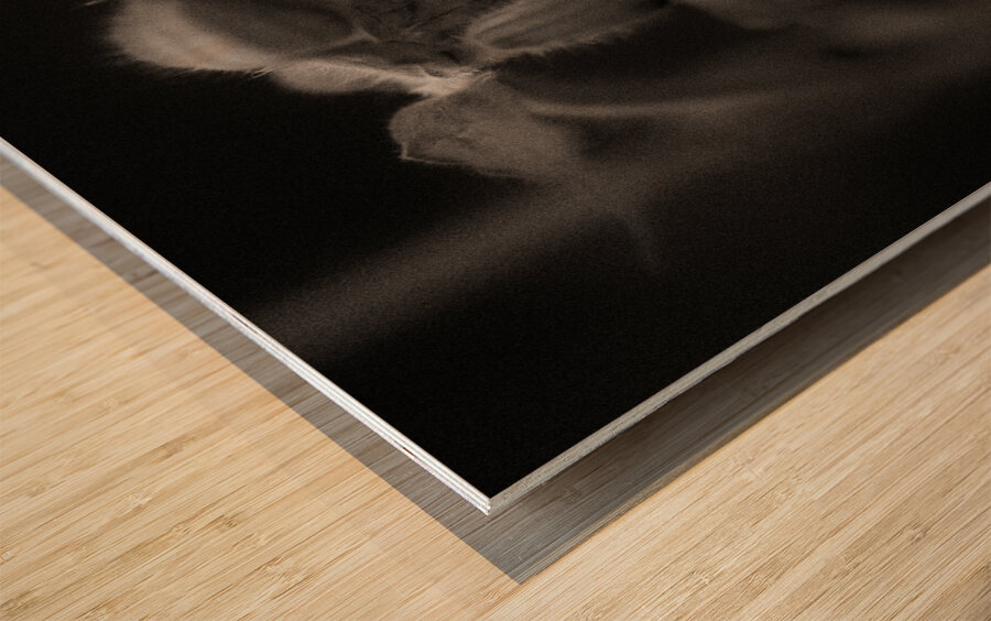 Woodland Study 9 Wood print