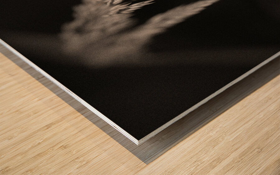 Woodland Study 7 Impression sur bois