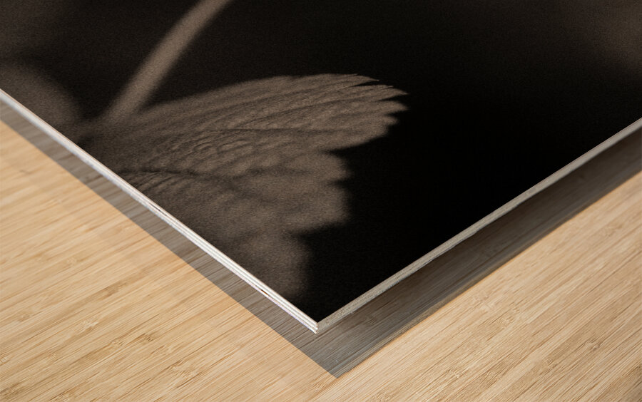 Woodland Study 10 Impression sur bois