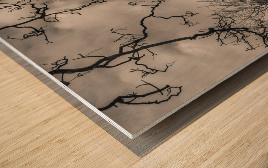 Edinburgh Castle in Monochrome Wood print