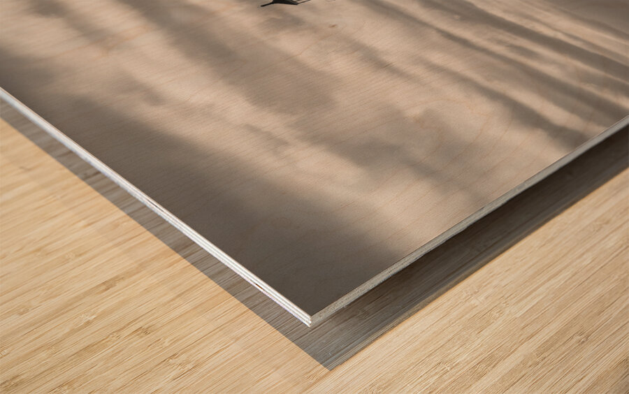 Chicago Harbor Lighthouse Wood print