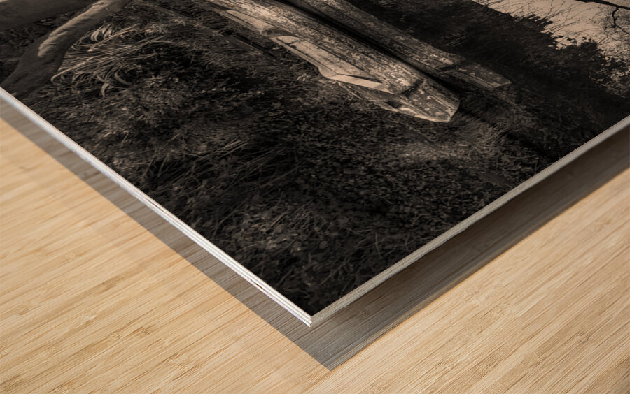 Dory on the Union Canal Wood print