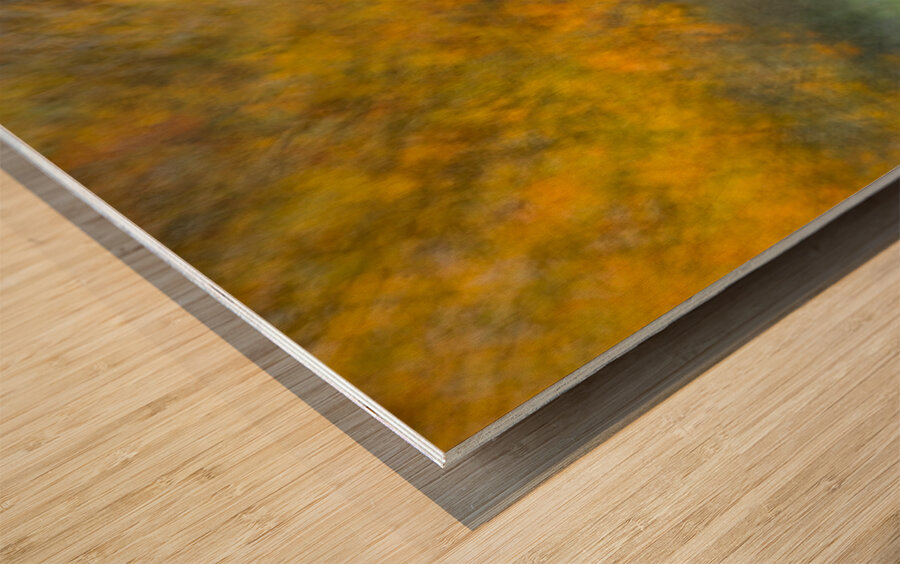 Autumn Shimmer Wood print