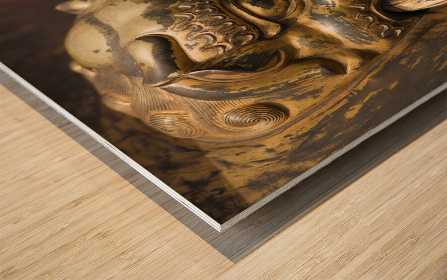 Cauldron Lion Impression sur bois