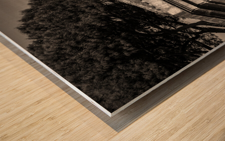 Farnese Aviary Impression sur bois