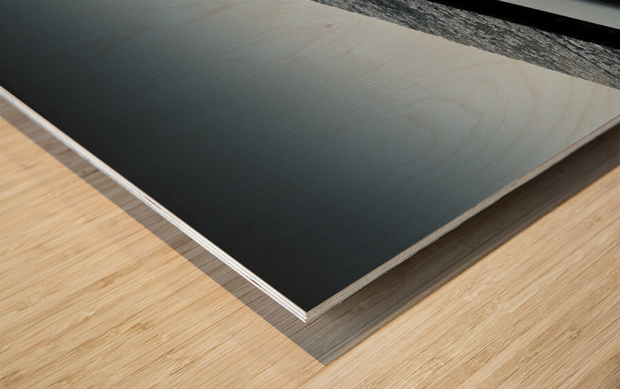 Sluipwijk Jetty Wood print