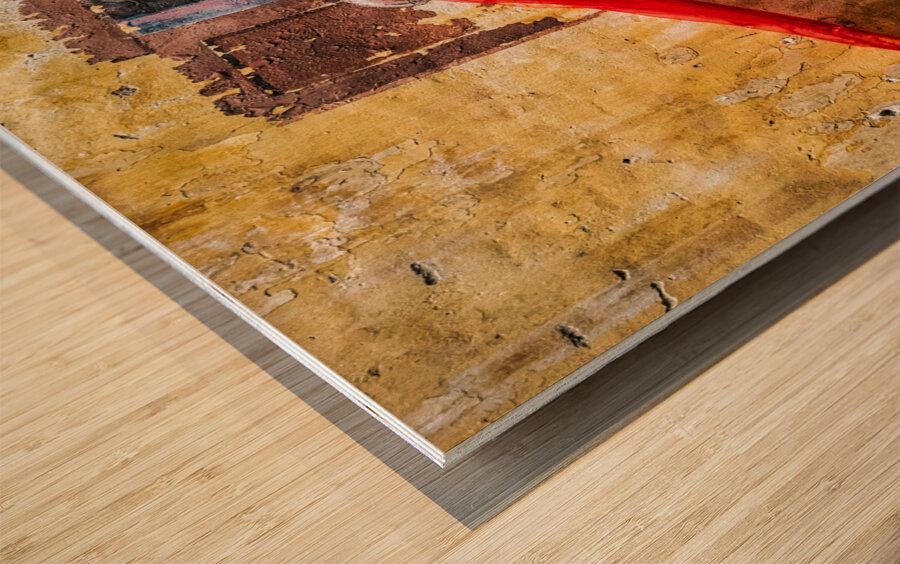 Lady with Red Scarf Wood print