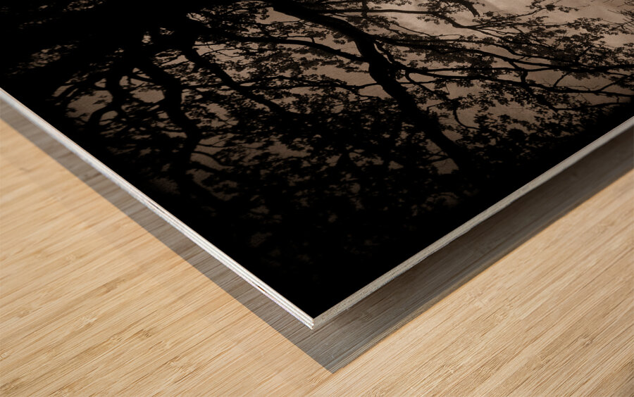 As the Day Fades Wood print