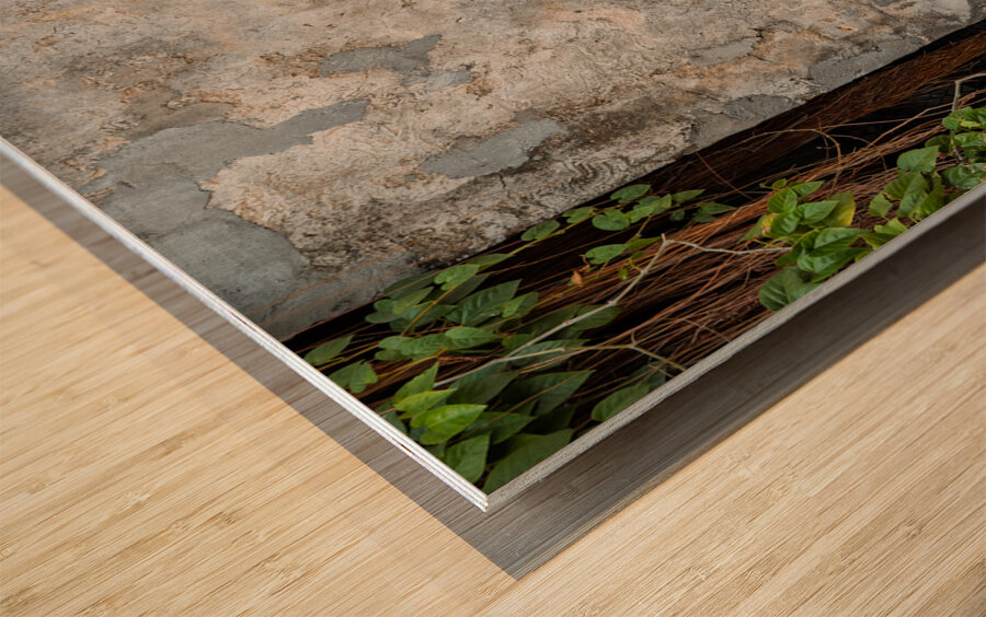 Little Children on a Bicycle Wood print