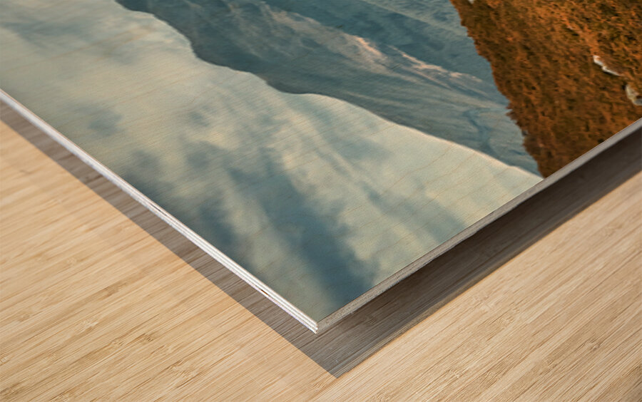 Tay Forest Edge Wood print