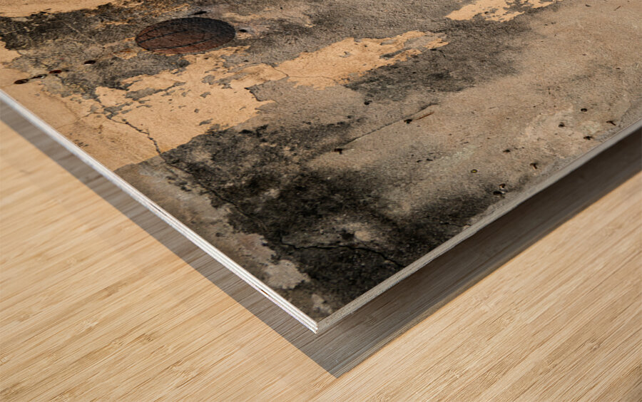 Playing Hoops Impression sur bois