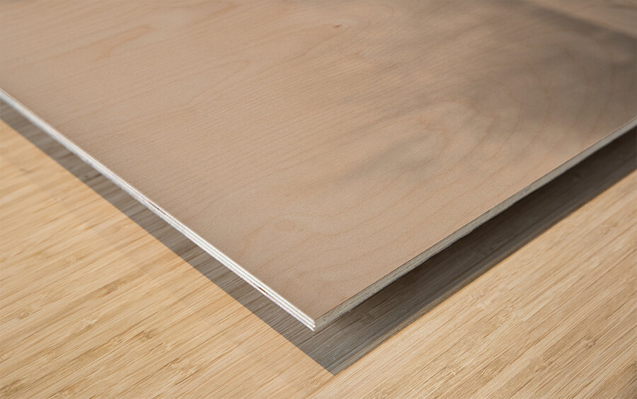 Alone Time Wood print