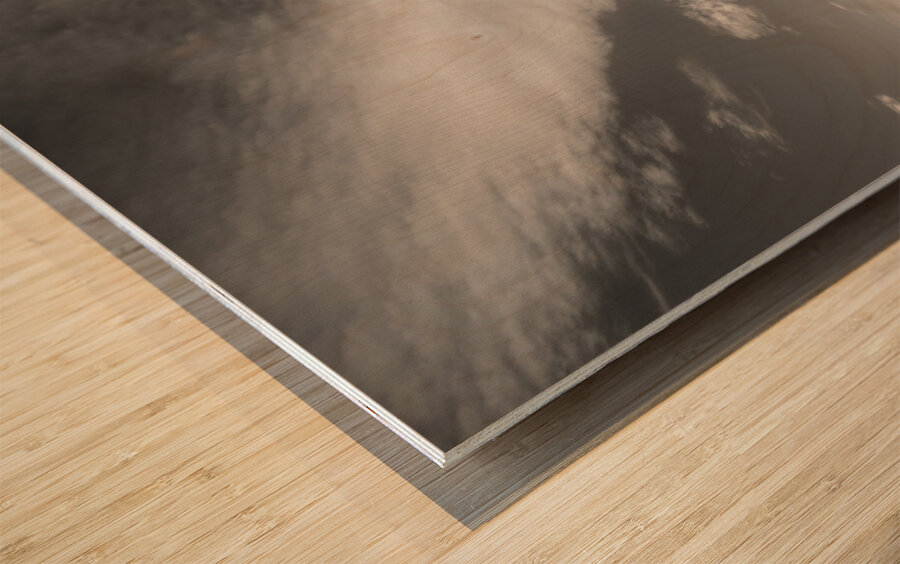 Dunnottar Castle in Infrared Impression sur bois