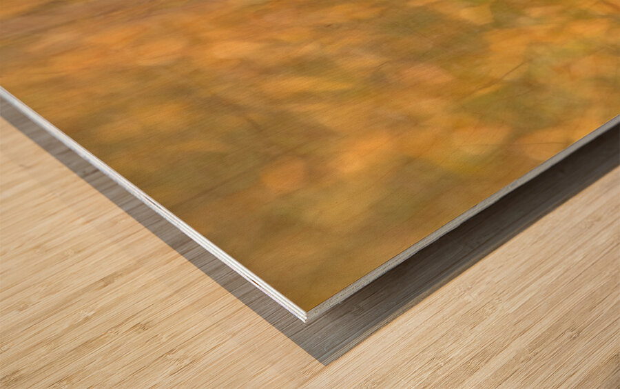 Whispering Leaves Wood print