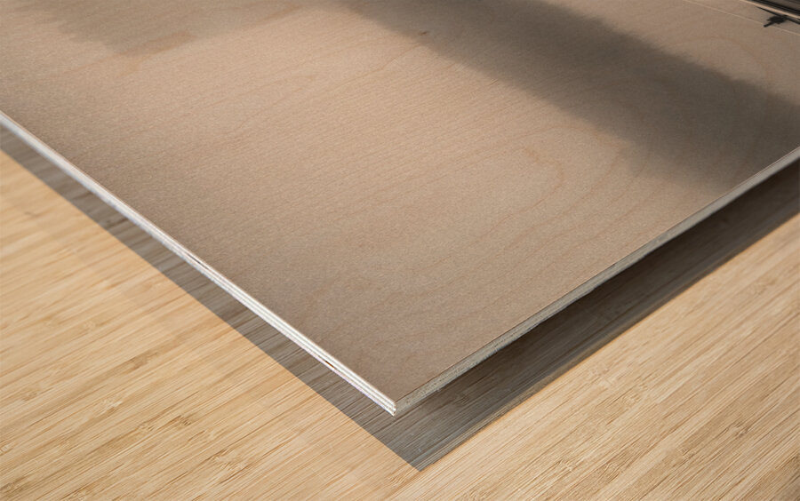 Threave Castle in the Mist Impression sur bois