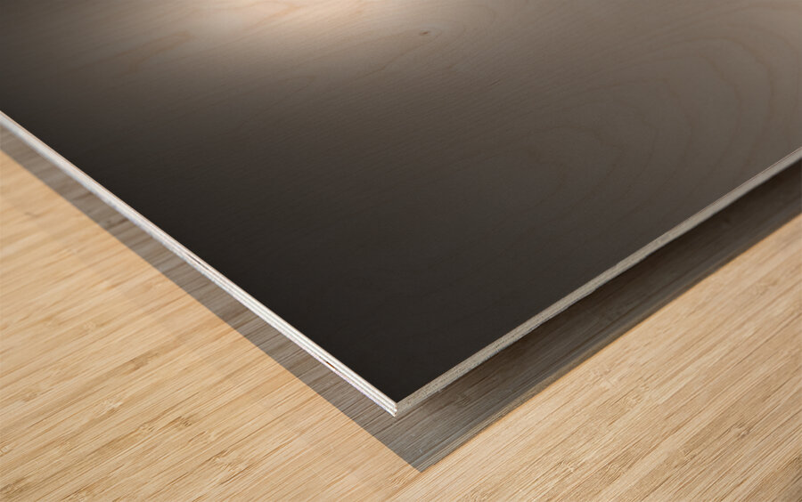 Nungesser and Coli Monument Impression sur bois